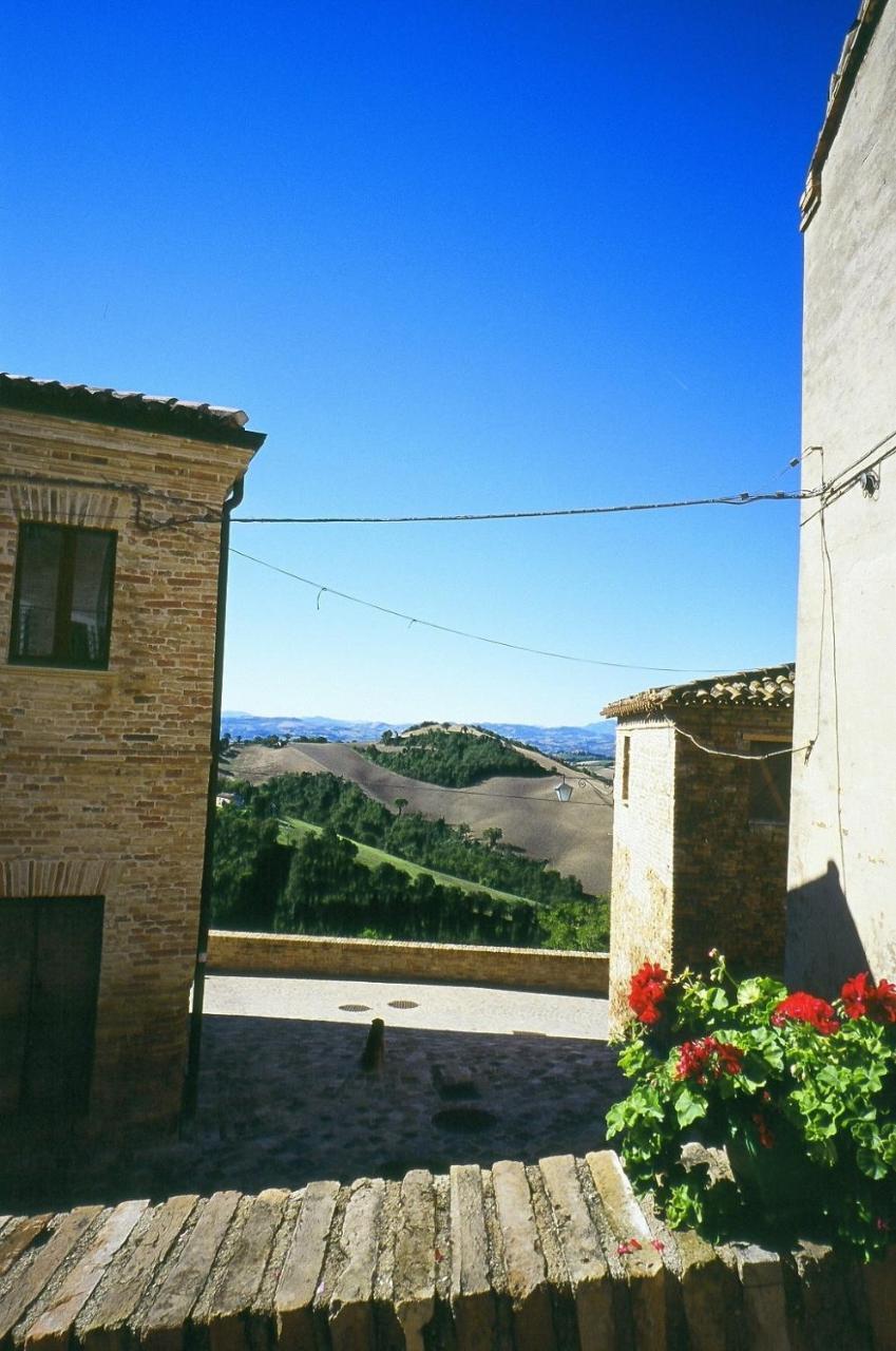 Agriturismo Pozzuolo Serrungarina Exterior foto
